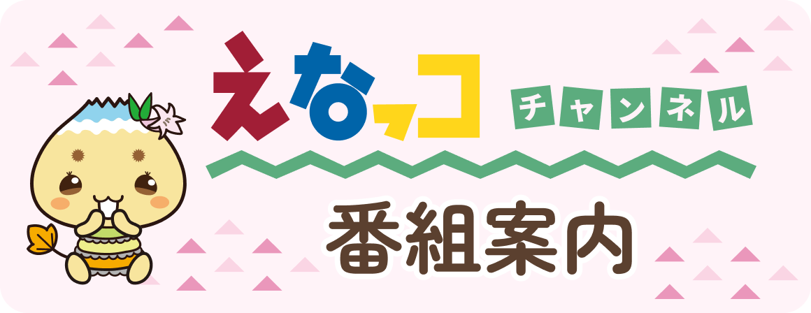 えなッコチャンネル