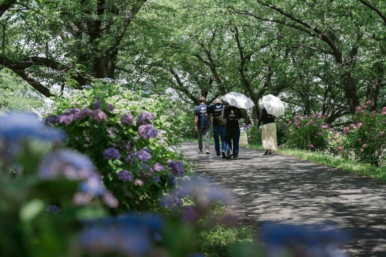 輪之内文化財訪問1